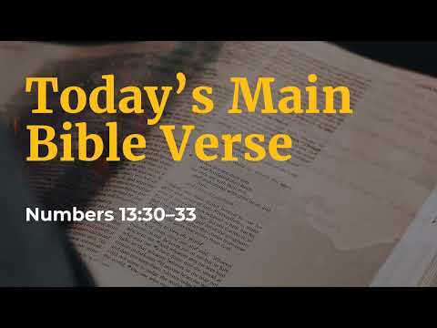 What Do You See? - Numbers 13:30-33