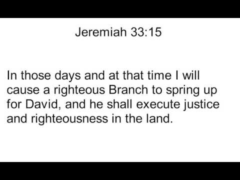 24 Jeremiah 33:15