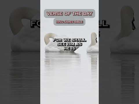 VERSE OF THE DAY - 1John 3:2 #DailyScripture #BibleVerse #ChristianShorts #ScriptureOfTheDay