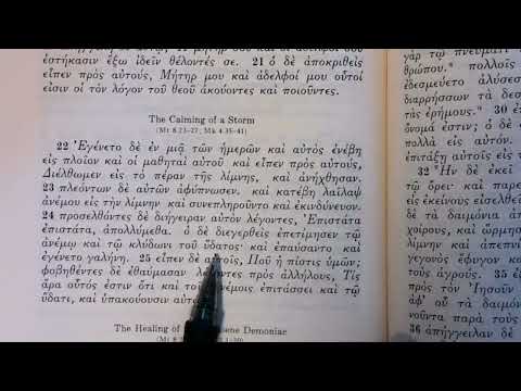 Reading the Greek New Testament: Luke 8:19-39