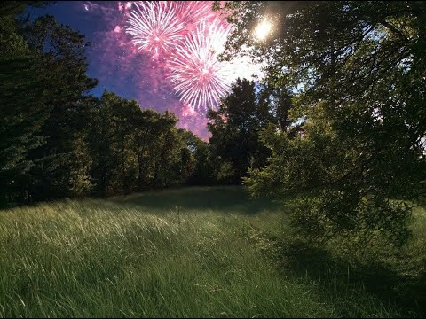 Scripture Verse By Verse (6) Exodus 22:1-15