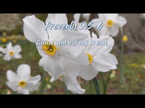 The Holy Bible - Proverbs  9:5-6