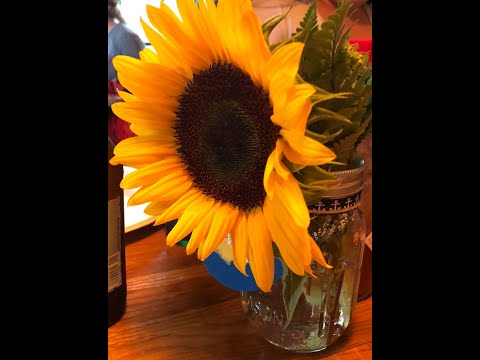 A NEW DAY-Ps 121, Phil 3:13-14, Lam 3:22-23, Is 43:18-19 Remember Today’s a New Day!