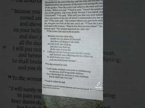 Genesis 3:14-3:16
