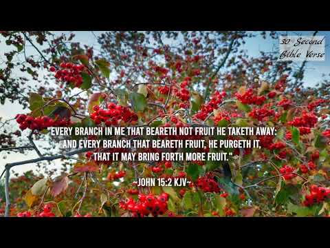 John 15:2 kjv