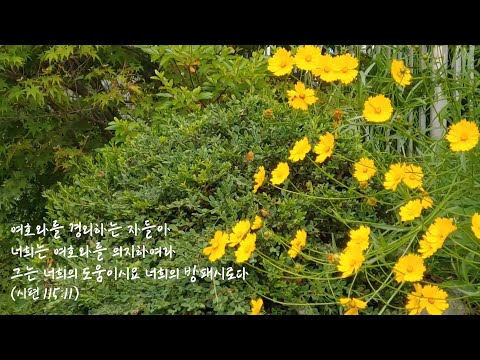 시편 115:11 (Psalm 115:11)