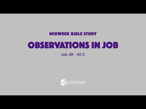 Observations in Job: Job 38 - 40:2