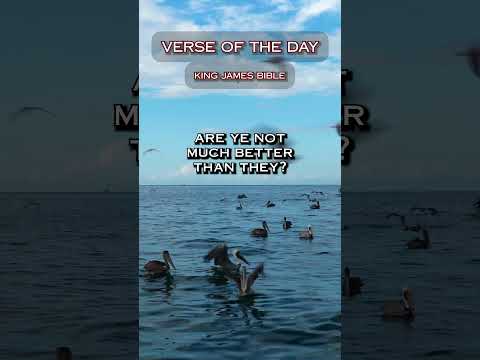 VERSE OF THE DAY - Matthew 6:24 #DailyScripture #BibleVerse #ChristianShorts #ScriptureOfTheDay