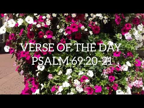 PSALM 69:20-21#VERSE OF THE DAY