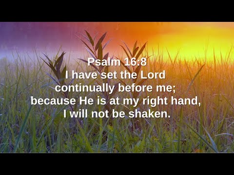 Psalm 16:8 (Promise)