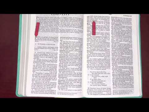 10/25/22, Psalm 95, Proverbs 25, 2 Timothy 1:1-18, Ezekiel 1:1-2:10 Old & New Testament Readings