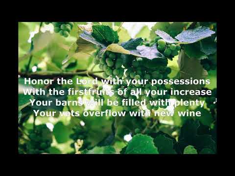 Trust In The Lord With All Your Heart (Proverbs 3:5-12)