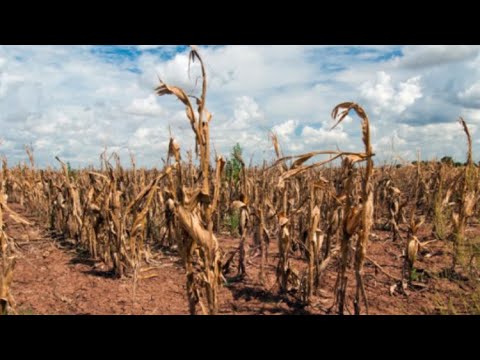 Amos 7:4-6   Pardoned Drought Judgment