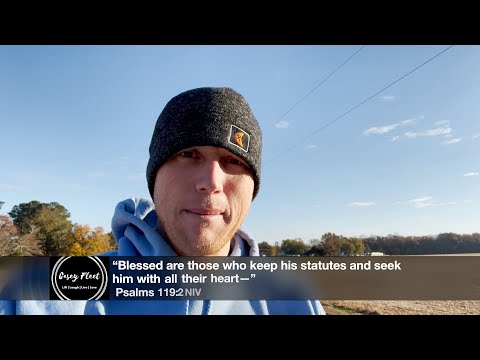 Under 3 | Psalms 119:2