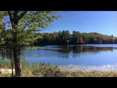 Scripture Verse By Verse  (2022) Second Kings 4:18-37h