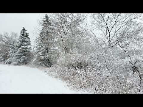 Coffee Break (5 minutes with God) Psalm 147:6-14