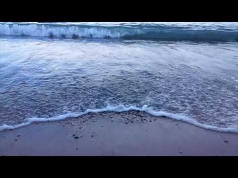 Psalm 29:3 The voice of the Lord is upon the waters: