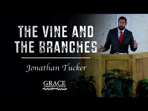 Jonathan Tucker | The Vine and the Branches (John 15:1-5)