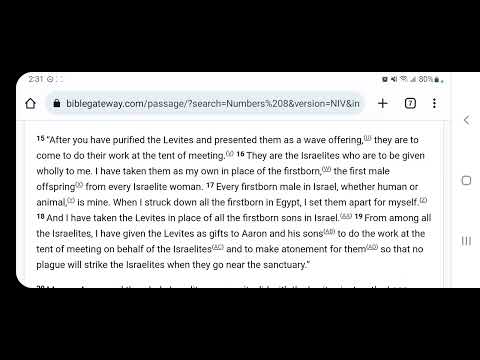 Numbers 8:1-26
