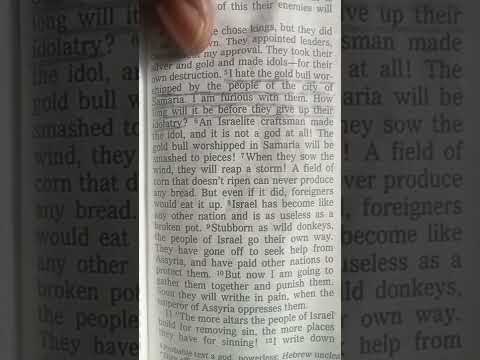 What does God say about bull worship? Hosea 8:5