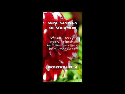 Proverbs 19:4 | NRSV Bible - Wise Sayings of Solomon