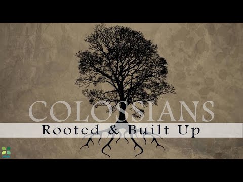 Oak Hill Church - Colossians: Rooted and Built Up (Colossians 3:1-3, 9-10)