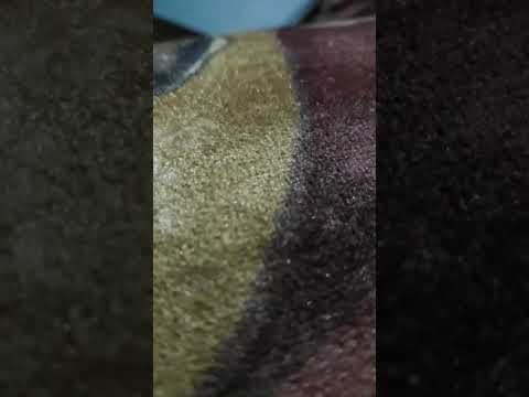 Omiana Fraser Mark 2:6-11