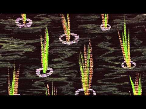 Mark 4:26-34 Commentary by Dr. Tom Boomershine