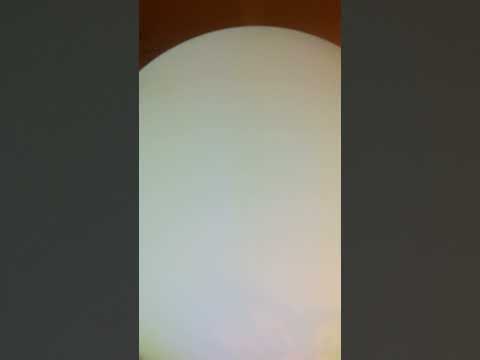 Colossians 1:1-29 The Son of God is the same as God????????????