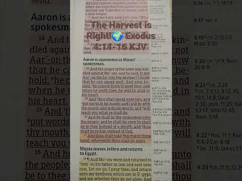 Exodus 4:14-16 KJV