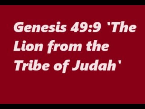 117 Scripture Verses- 8th Reading: Genesis 49:9
