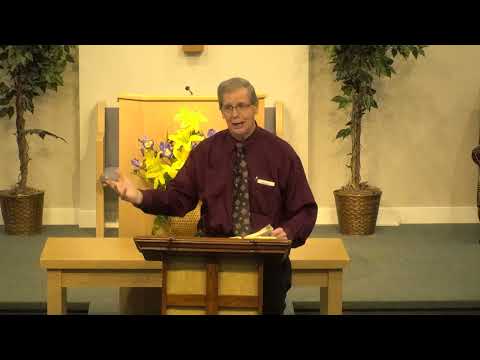 #38 Luke 8:40-56-9:1-5