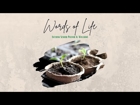 Words of Life // John 6:63