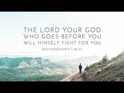 Deuteronomy 1:30-31  Today's Bible Devotion