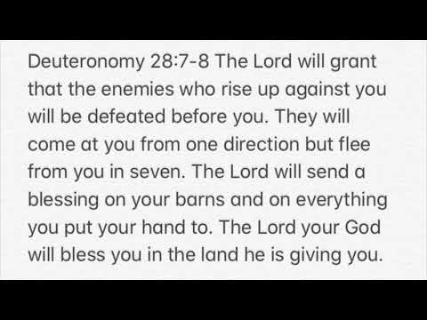 My Enemies Flee Seven Ways Deuteronomy 28:7