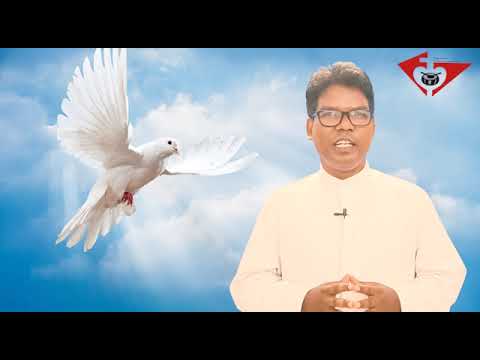 20th Sunday 2022: luke 12: 49-53 Reflections by Fr John Bosco Kujur CMF