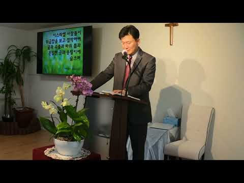 "기다리지 못하는 사울" 사무엘상 1Samuel 13:8~15