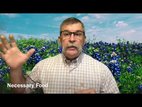 Godliness with contentment - 1 Timothy 6:5-11