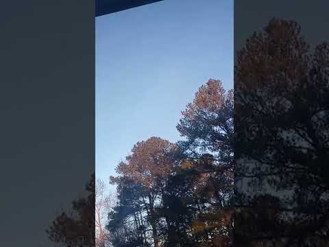 Angels shall gather the elect Matthew 24:31 Isaiah 26:20 Isaiah 60:8