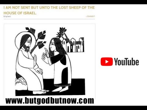 Matthew 15:24 KJV