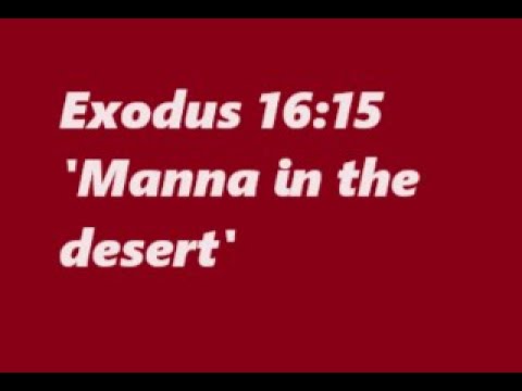 117 Scripture Verses- 11th Reading: Exodus 16:15
