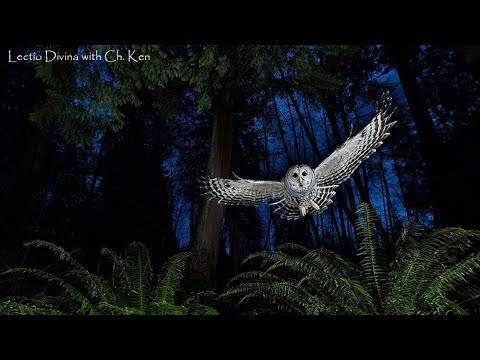 Lectio Divina - Psalm 25:8-15