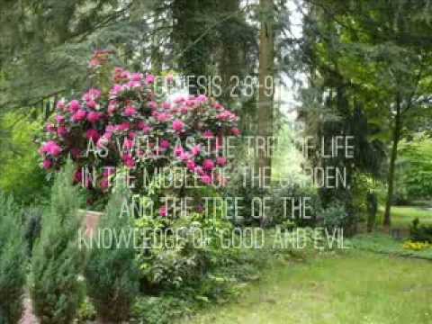 Genesis 2:8-9 Scripture Song