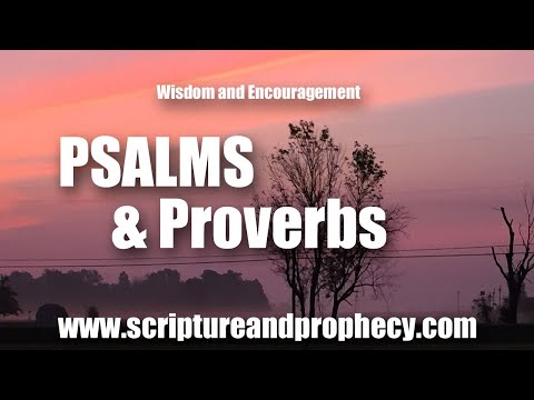 Psalm 119:161-176: Deliver Me According to Thy Word