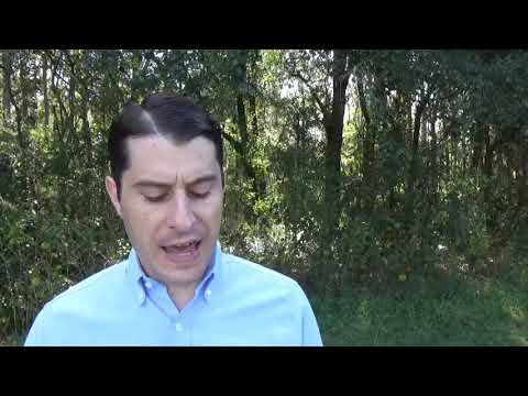 Ezekiel 34:11-16,20-24 Reading