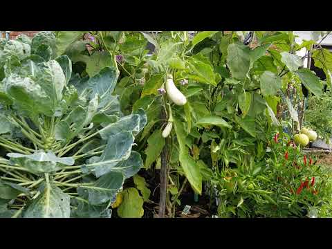 Morning prayer requests/devotions at the Garden of Faith!Scripture of the day:Psalm 82:3-4????????