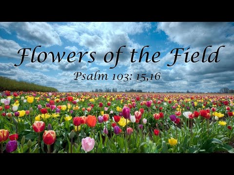Mar 7, 2021 - "Flowers of the Field" - Psalm 103:15,16 - Elder Mike Sullivan