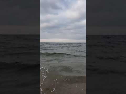 Psalm 89:9 (You rule the roaring sea and calm its waves)