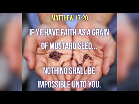 KJV Bible Songs: Faith as a grain of mustard seed (Matthew 17:20, Mark 9:23-24)