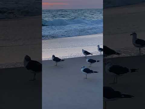 372 . Coffee Break (Express) There’s a time to let loose.